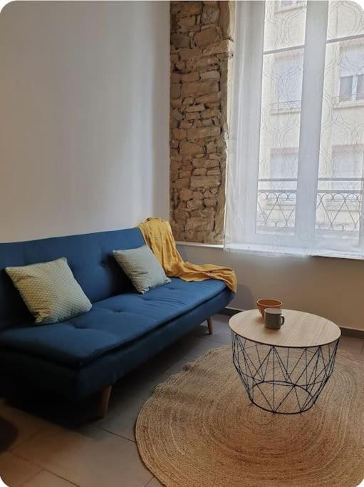 P'Tit Canut : Studio Tout Equipe Proche Centre Et Gare Lyon Eksteriør bilde
